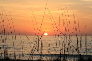An Amelia Island sunrise. Photo credit: Patty O'Hearn Kickham from Guelph, Ontario, Canada, CC BY 2.0 , via Wikimedia Commons