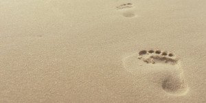 Learn more about Amelia Island and Fernandina Beach weather in this article!